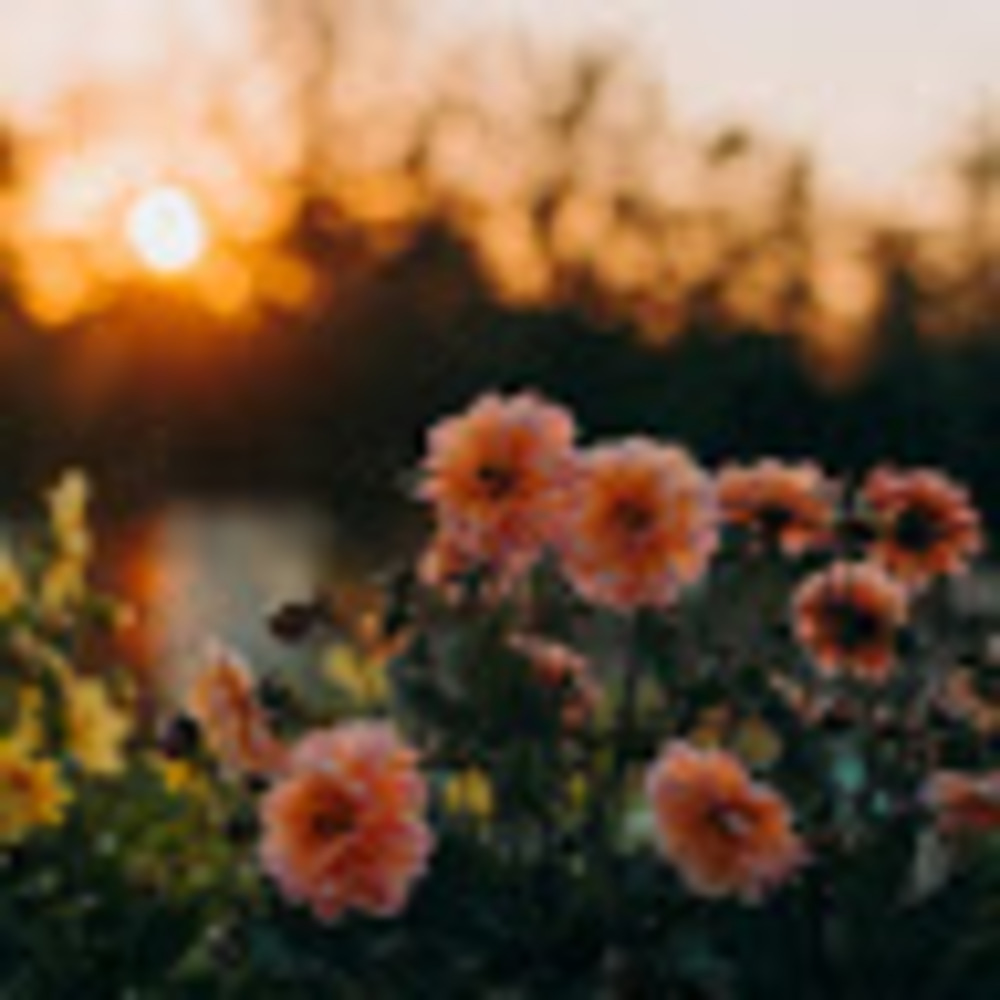 Meet your Posher, Katherine